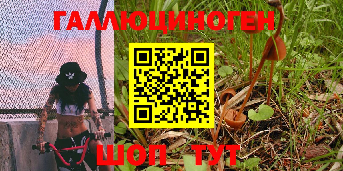 Галлюциногенные грибы GOLDEN TEACHER  Галлюциногенные грибы Psilocybe  Вход с VPN  Тимашёвск 
