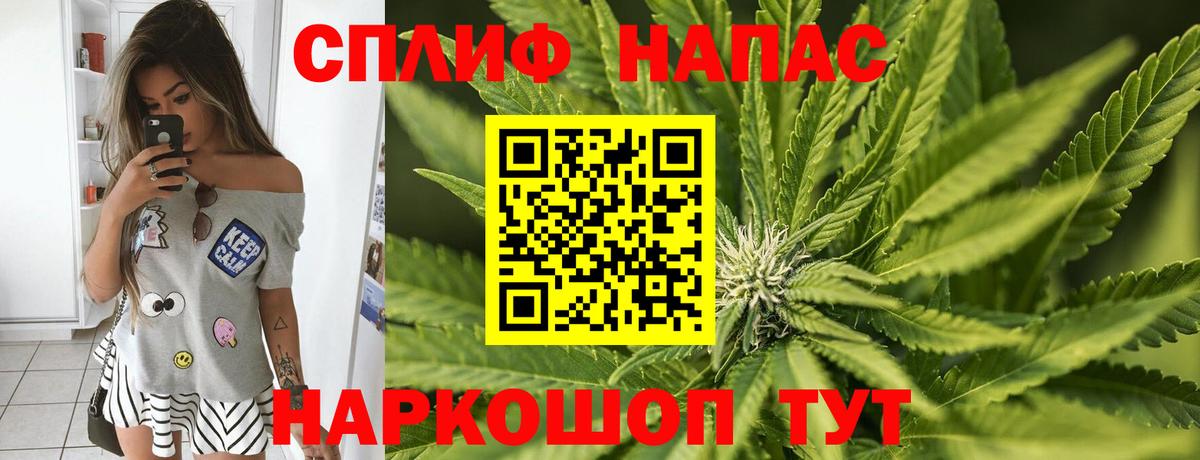 Шишки марихуана сатива  Конопля SATIVA & INDICA  Вход с VPN  Канабис SATIVA & INDICA  Бошки Шишки Bruce Banner  Тимашёвск 